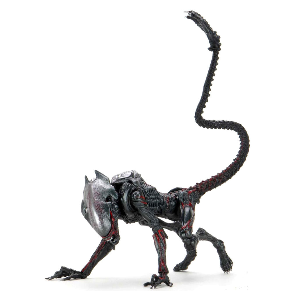 Alien Kenner Tribute Niht Cougar Alien figure 23cm
