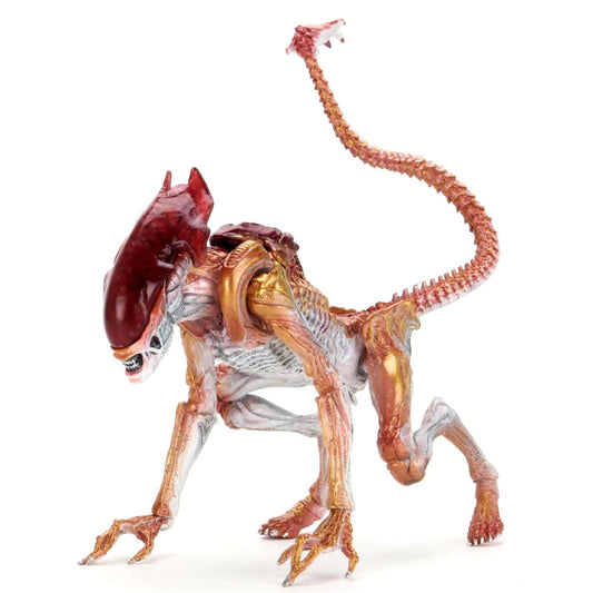 Aliens Kenner Tribute Panther Alien figure 23cm